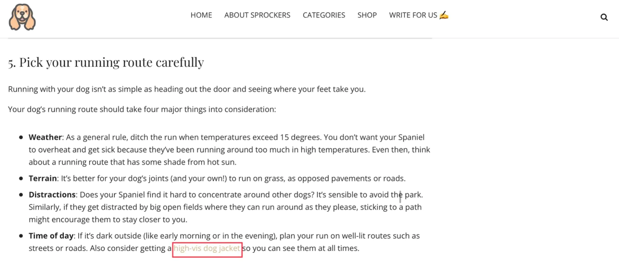 Ecommerce Affiliate Marketing Guide for Beginners
