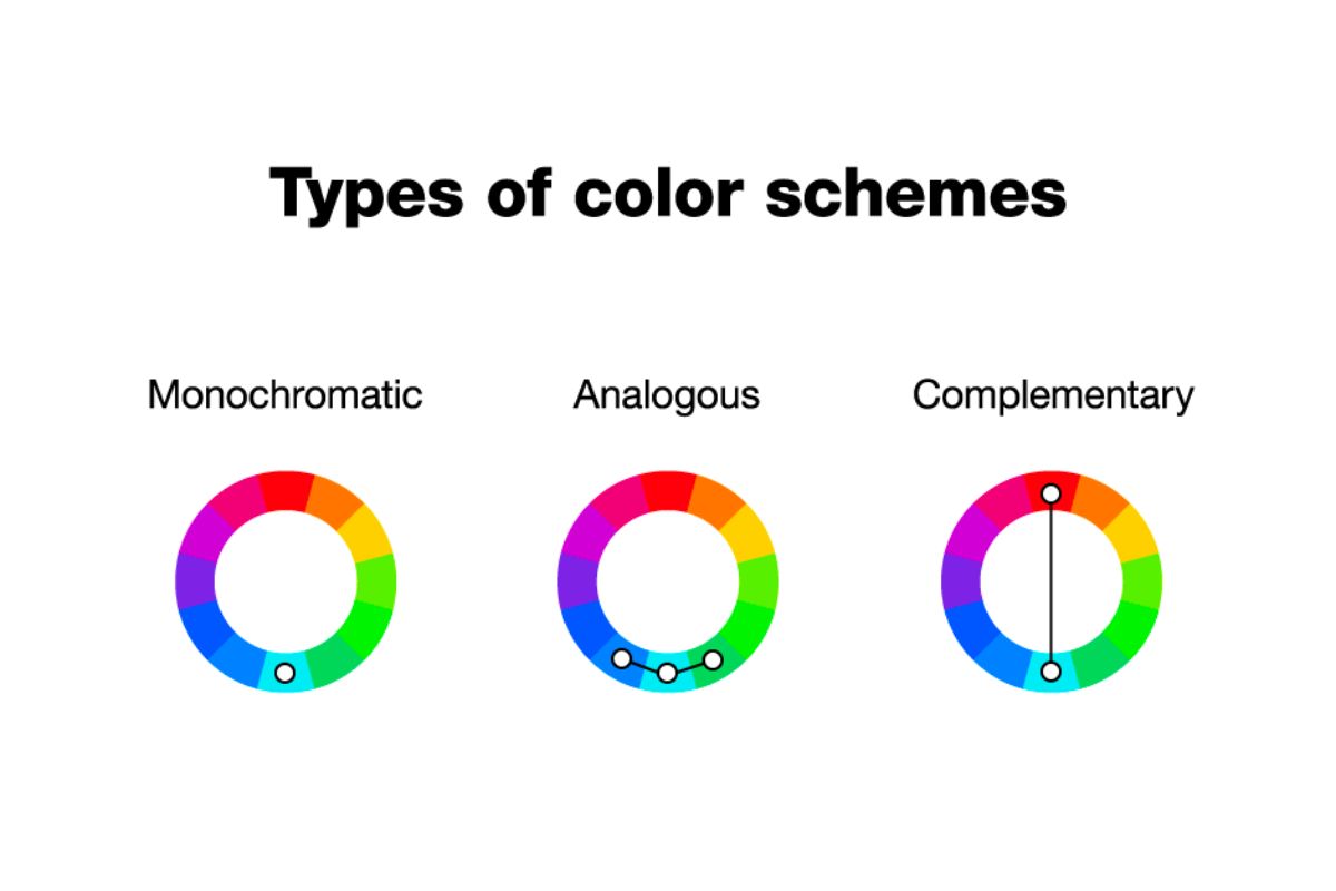 Top 10 Tips Using Color in Photography