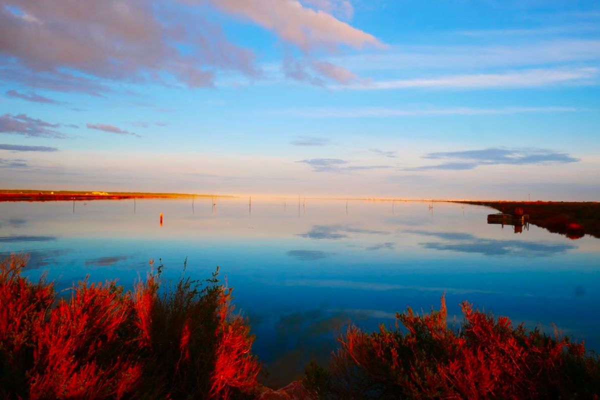 Top 10 Tips Using Color in Photography