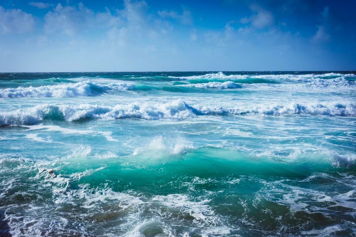 Top 10 Tips Using Color in Photography