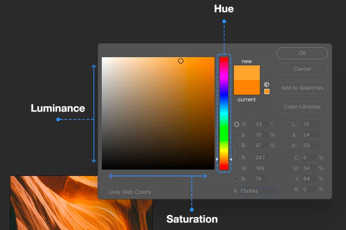 Top 10 Tips Using Color in Photography