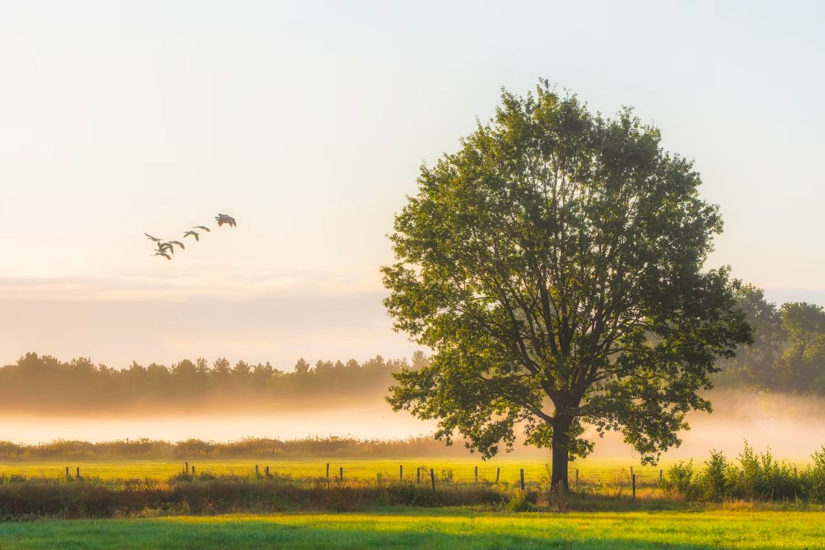 Top 10 Tips Using Color in Photography