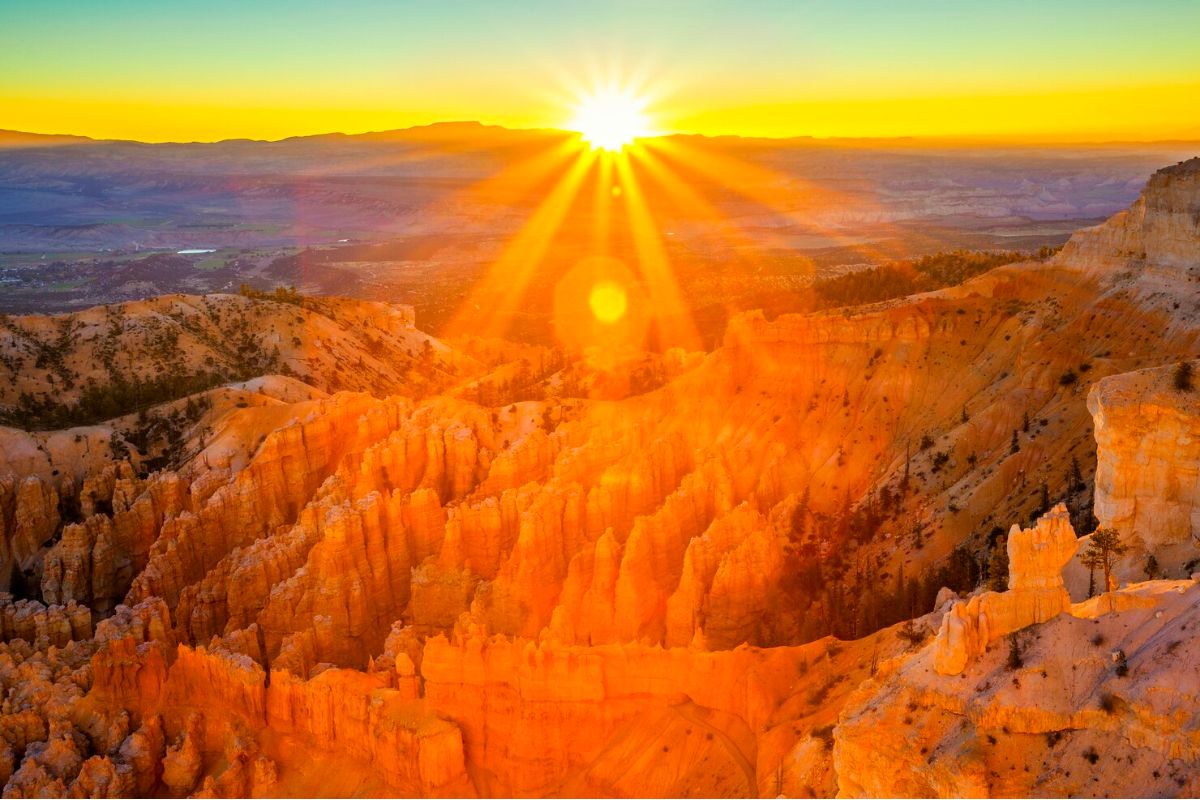 Top 10 Tips Using Color in Photography