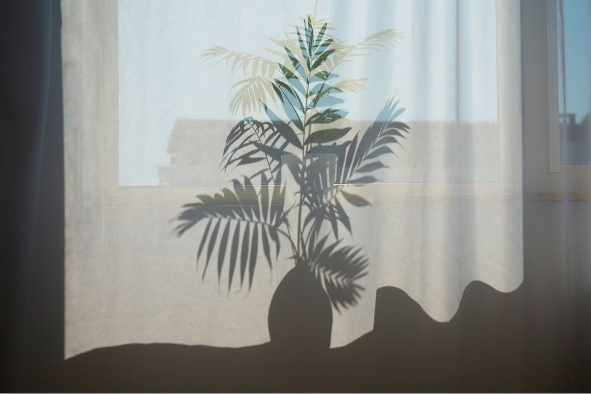 Focal Point in Photography: An Essential Guide