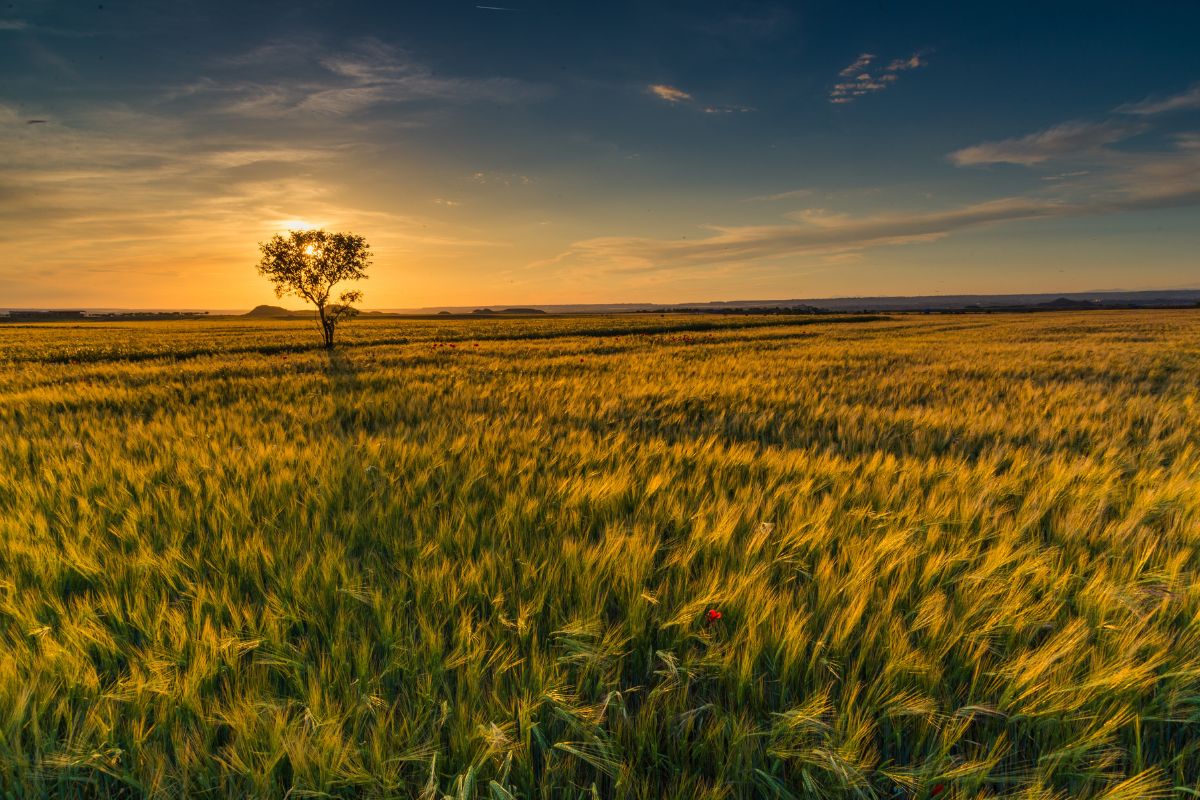 Top 10 Must-know Landscape Composition Tips