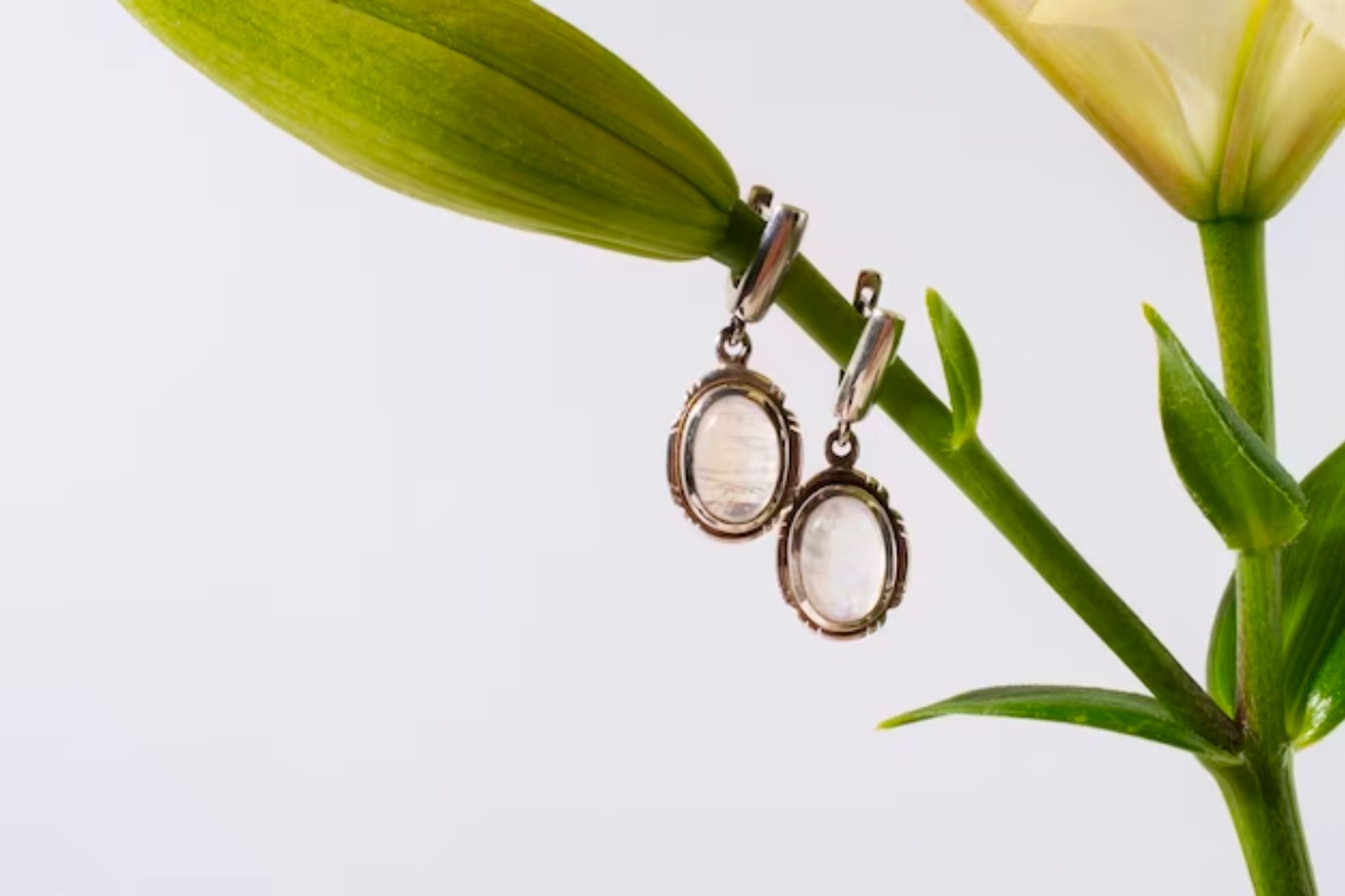 How to Setup Jewelry Photography Lighting