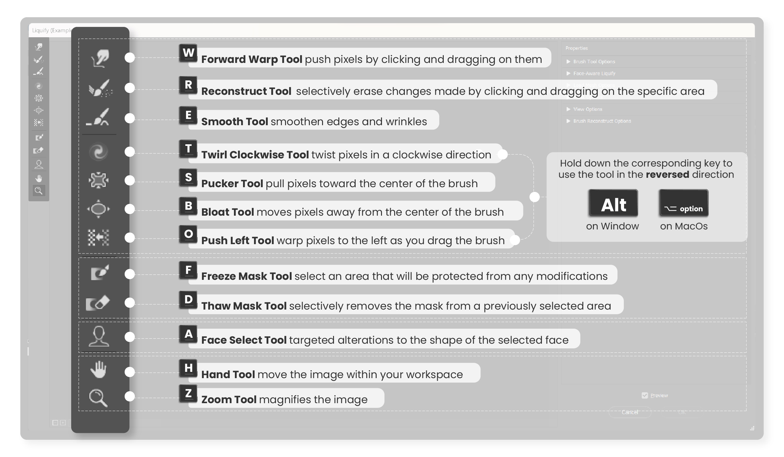 Navigating Liquify Tool in Photoshop: A Comprehensive Guide
