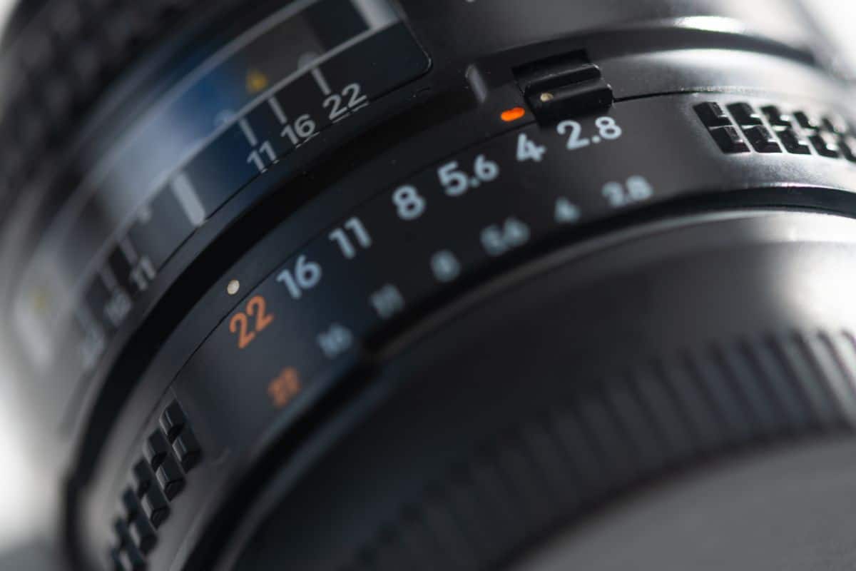 How Can Fill the Frame Photography Enhance Your Compositions