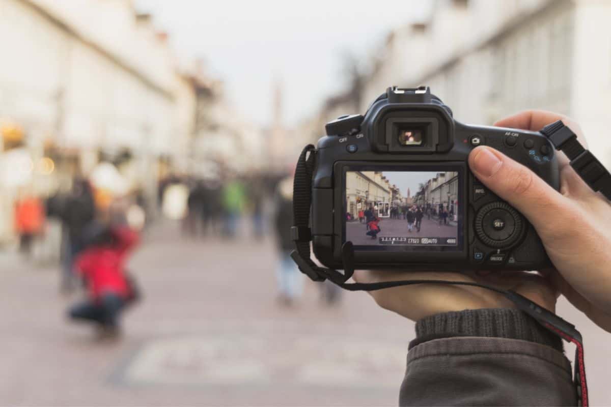 How Can Fill the Frame Photography Enhance Your Compositions
