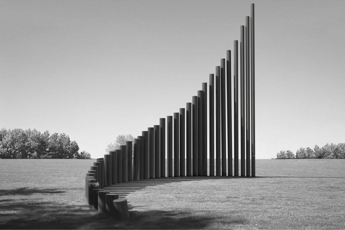 The Art of Rhythm in Photography: Creating Movement and Flow