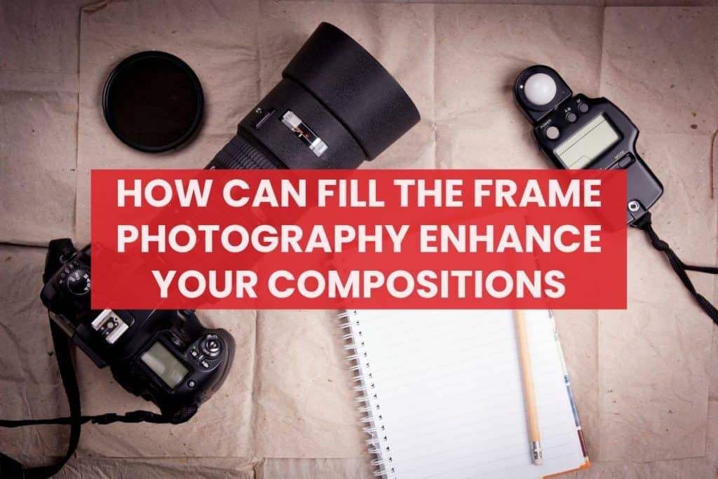 How Can Fill the Frame Photography Enhance Your Compositions