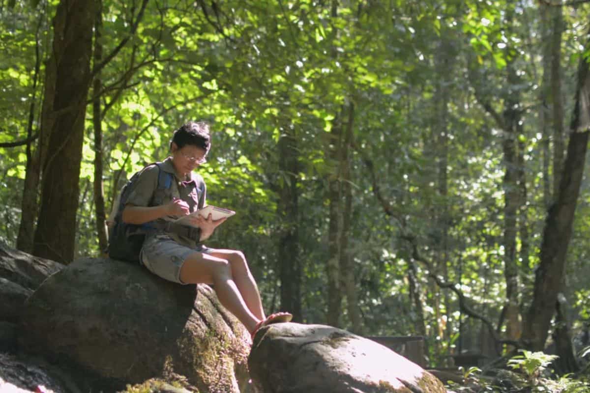 Video color grading vs. video color correction