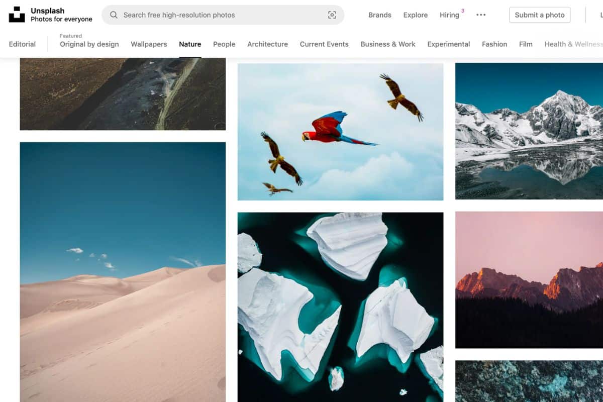 Top 10 Stock Photo Websites You Need to Know About