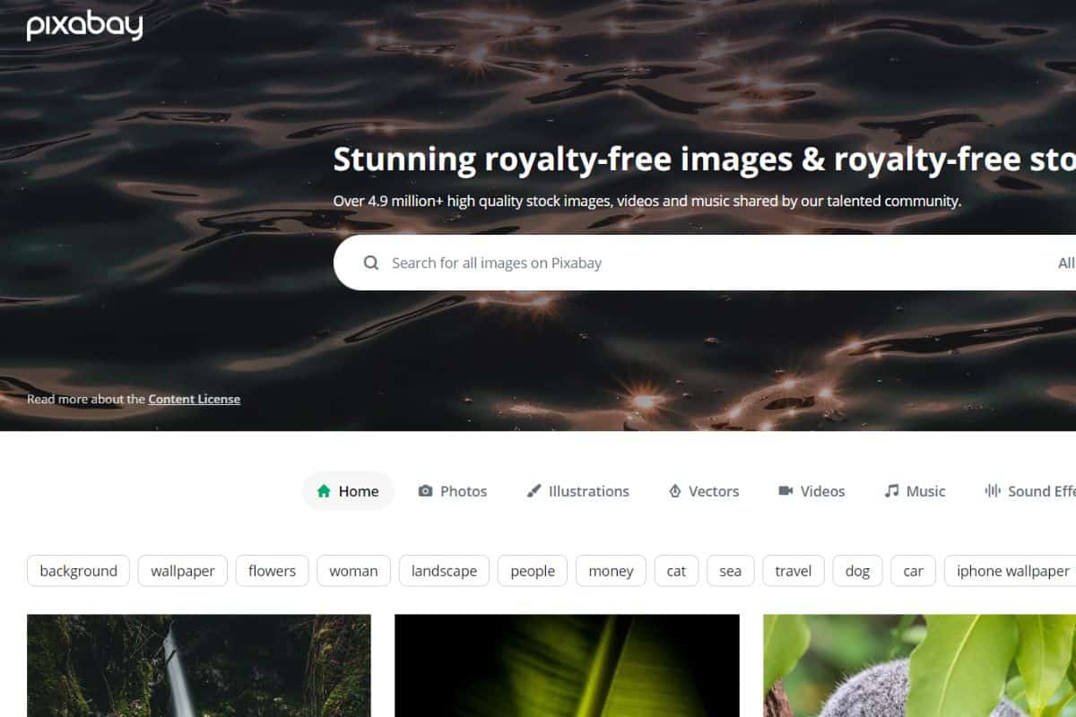 Top 10 Stock Photo Websites You Need to Know About