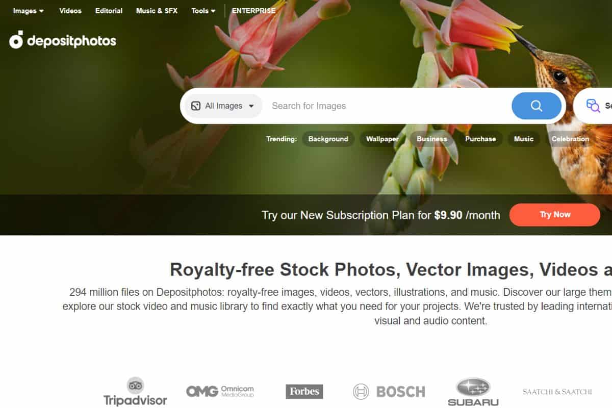Top 10 Stock Photo Websites You Need to Know About