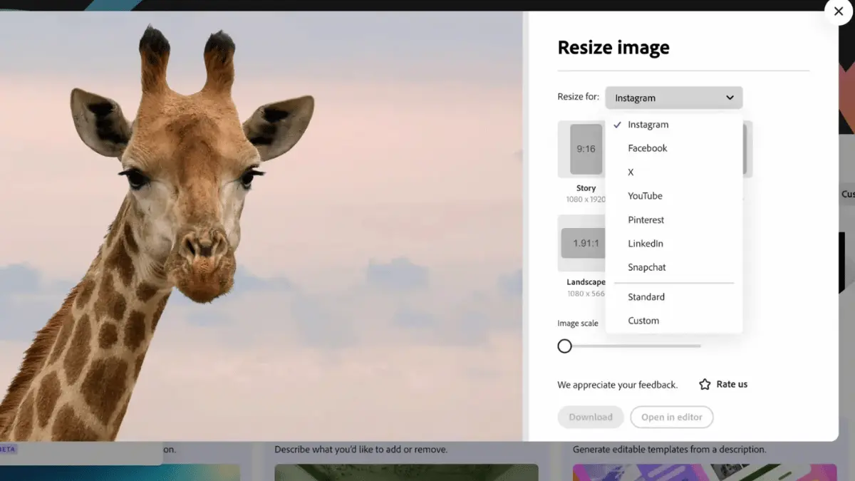 Skipping resizing platforms will crop or add borders in the wrong way will ruining the composition